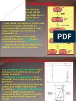 Crecimiento Microbiano 12