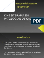 Kinesiterapia en Patologías de Cadera I 201520