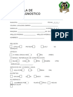 Cedula de Microdiagnostico