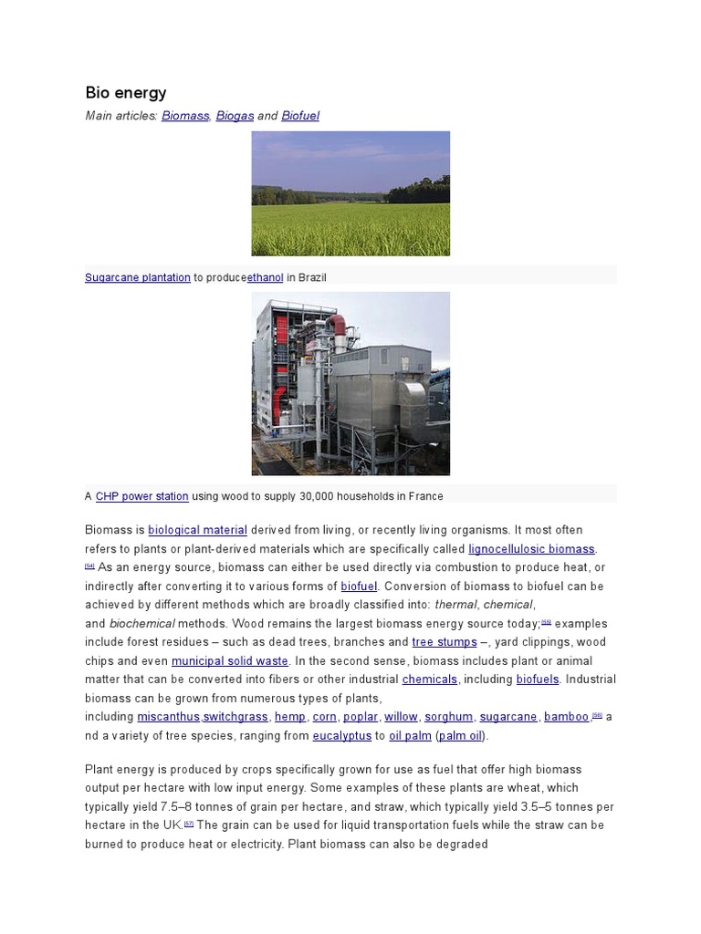 Understanding Biomass and Biofuels | PDF | Biofuel | Biomass
