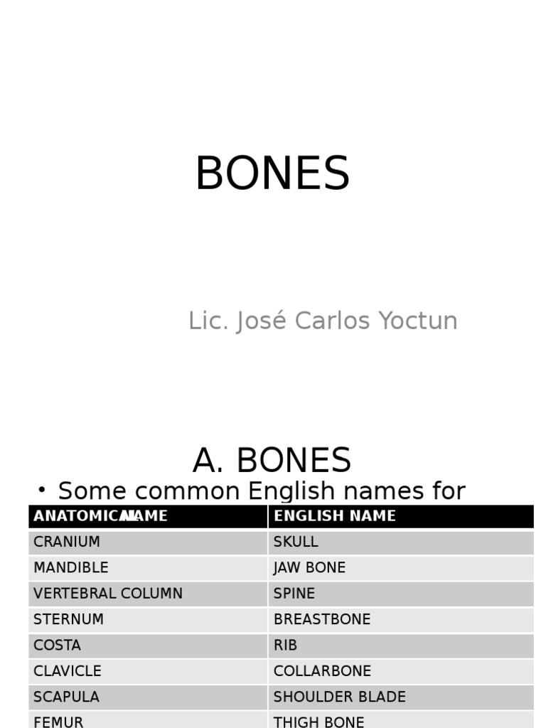 Understanding Bones and Fractures | PDF | Foreign Language Studies ...