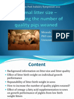 Optimal Litter Size - Increasing The Number of Quality Pigs Weaned PDF