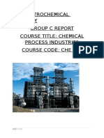 Group C Presentation - Petrochemicals (UPDATED)