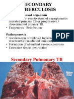 Secondary Tuberculosis