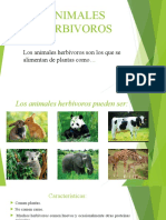 Animales Herbívoros