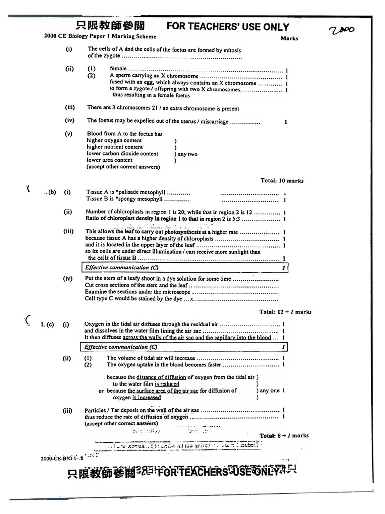 Essay on diabetes mellitus picture