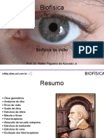 Biofísica da visão