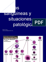 Celulas Sanguineas. GR. Weebly. PG 15-16