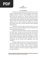 Download LAPORAN MAES by Isna U Marifah SN305622221 doc pdf