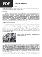 Movimentos Ambientalistas No Brasil - História e Reflexão | PDF ...