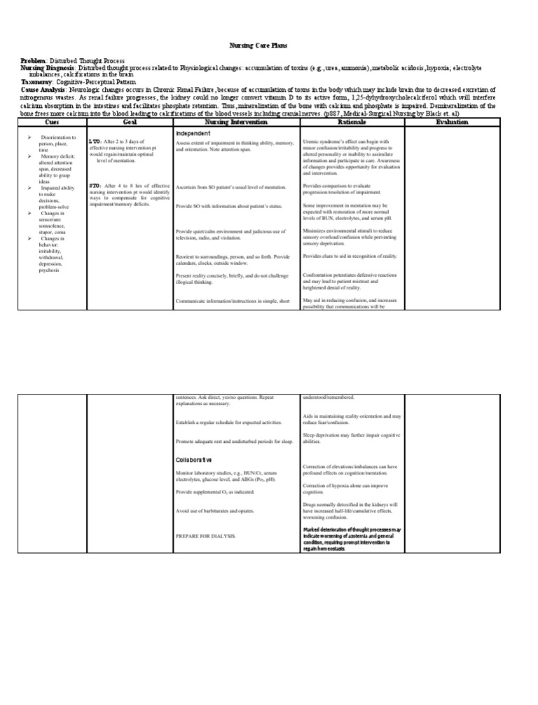 Disturbed Thought Process NCP | PDF | Neuroscience | Medicine