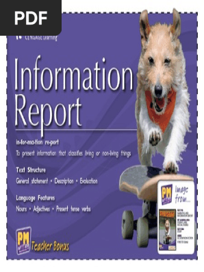 information report