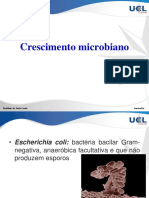 Crescimento microbiano e controle