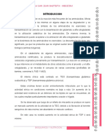 Informe 13 Bioquimica