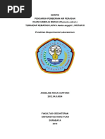 Download Angeline Rosa H - 20120400054 by Samuri Uri SN305681337 doc pdf