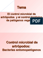 Control Microbial Artrópodos BACTERIAS ENTOMOPATÓGENAS