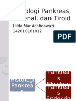 Histologi Pankreas