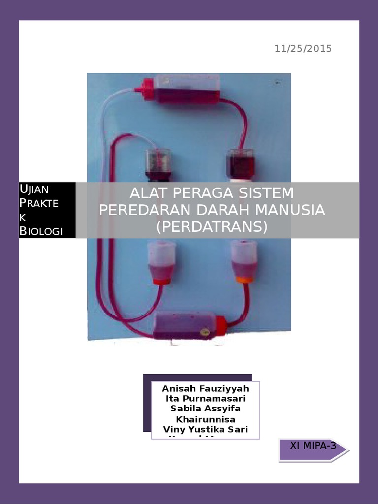Alat Peraga Sistem Peredaran Darah Manusia