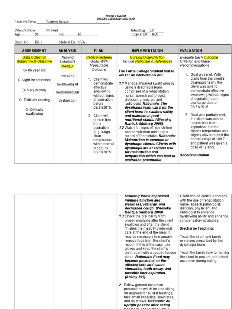 Nursing Care Plan Example Medicine Clinical Medicine