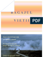 Bagajul Vietii