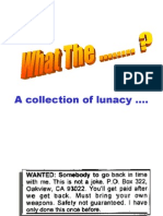 A Collection of Lunacy