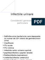 Infectiile Urinare GENERALITATI