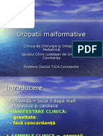 Uropatii malformative