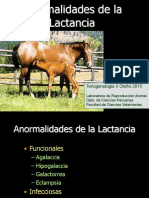 Anormalidades Lactancia 2015