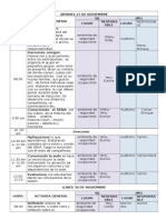 3 - Cronograma Induccion Fy A Noviembre 2015