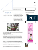 Manfaat, Khasiat Dan Cara Pengolahan Buah Mahkota Dewa Untuk Kesehatan - Ramuan Tradisional PDF