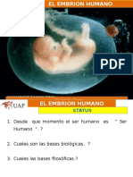 9ºSesión Embrión