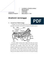 Anatomi Serangga