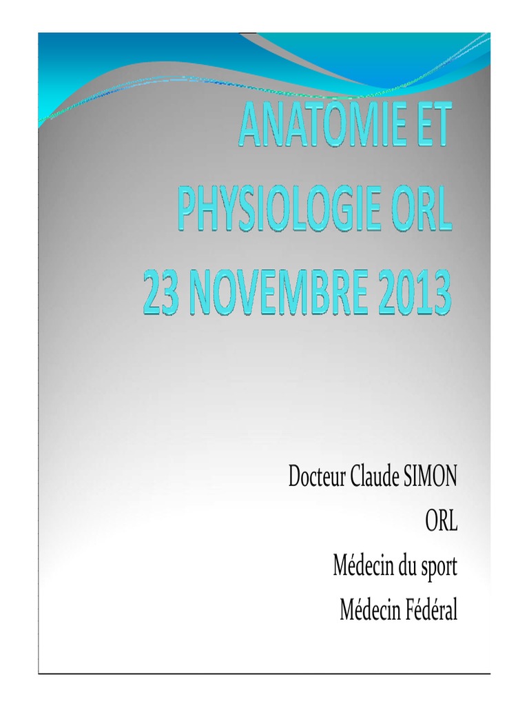 Anatomie et Physiologie de l'ORL | PDF | Oreille | Anatomie des primates
