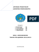 Laporan Praktikum Pengamatan Mikroskopik