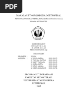 Download cover etnodoc by Mavhile Kaztla SN305831691 doc pdf