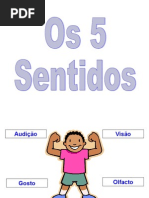 5_sentidos