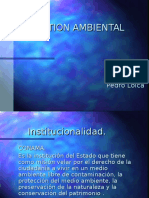 Gestión_Ambiental