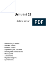 Ushtrimi 28 Sistemi Nervor