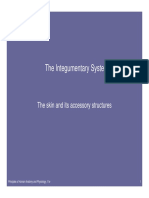 K8 - Integumentary System (Fisio)