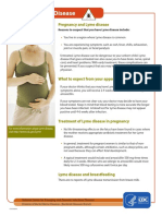 Lyme Disease and Pregnancy Factsheet
