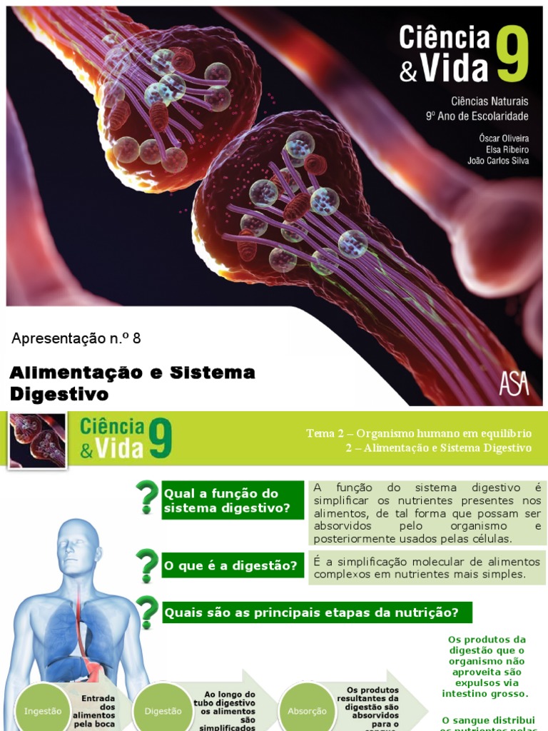 Sistema Digestivo 9ºano | PDF | Sistema digestivo humano | Digestão, image size:768x1024