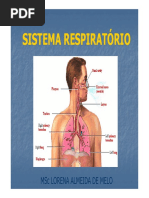 Sistema Respiratório