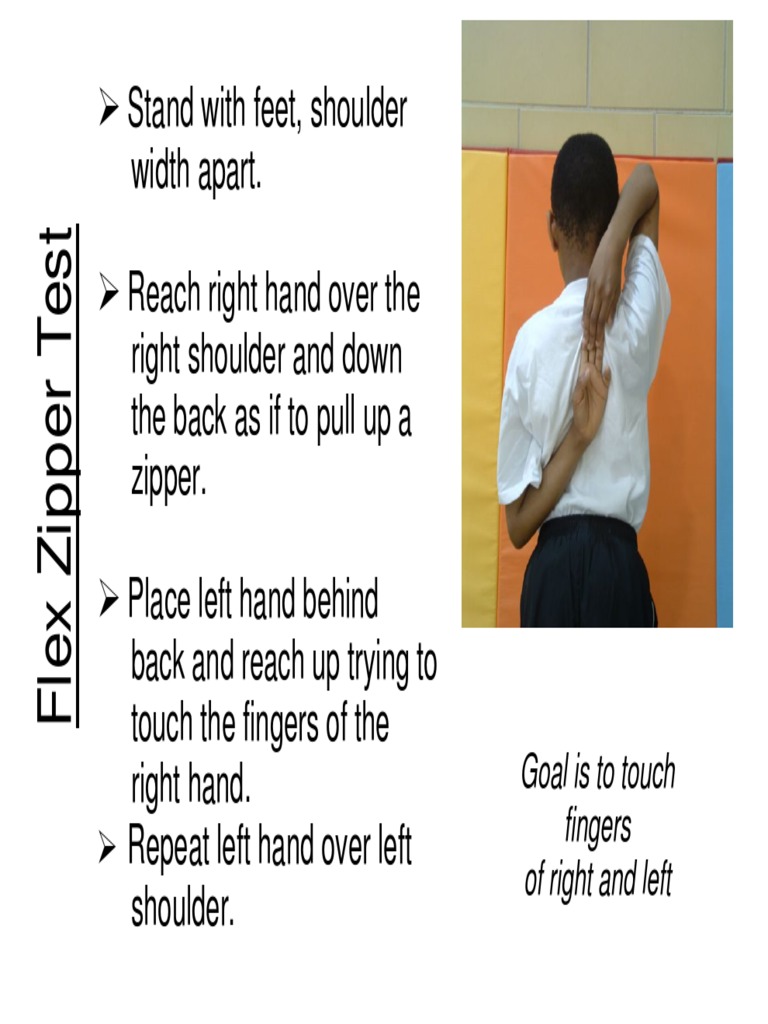 zipper test.pdf Anatomical Terms Of Motion Human Anatomy