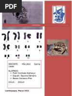 Download Cariotipo del sapo comn Bufo spinulosa  by katheryn SN305894746 doc pdf