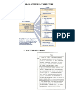 Diagram of The Essay Structure