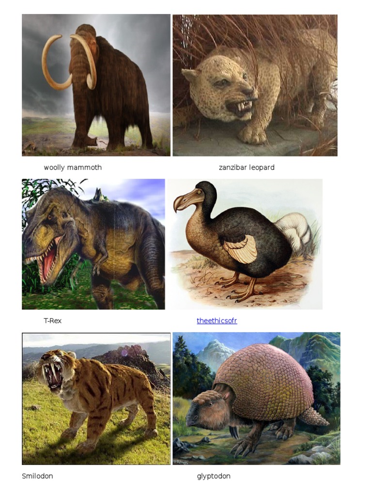 woolly-mammoth-zanzibar-leopard-theethicsofr-pdf-organisms