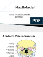 Trauma Maxilofacial