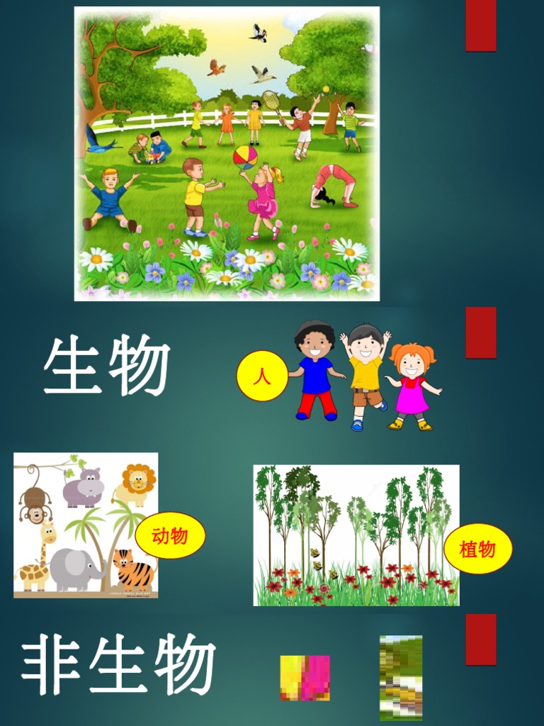 一年级生物与非生物 Pdf