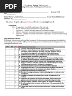 Final Mentor Assessment