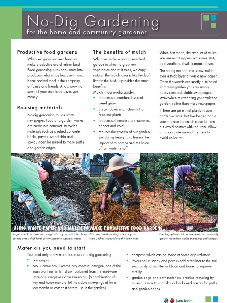No-Dig Gardening Essentials Guide | PDF
